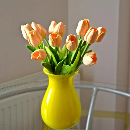 Aristotelous Boarding House * Salonicco