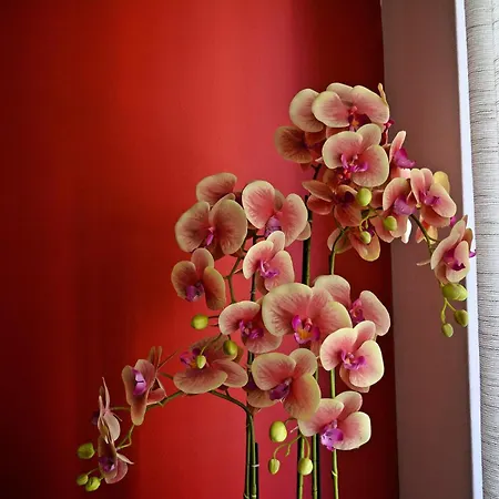 アパート Aristotelous Boarding House *